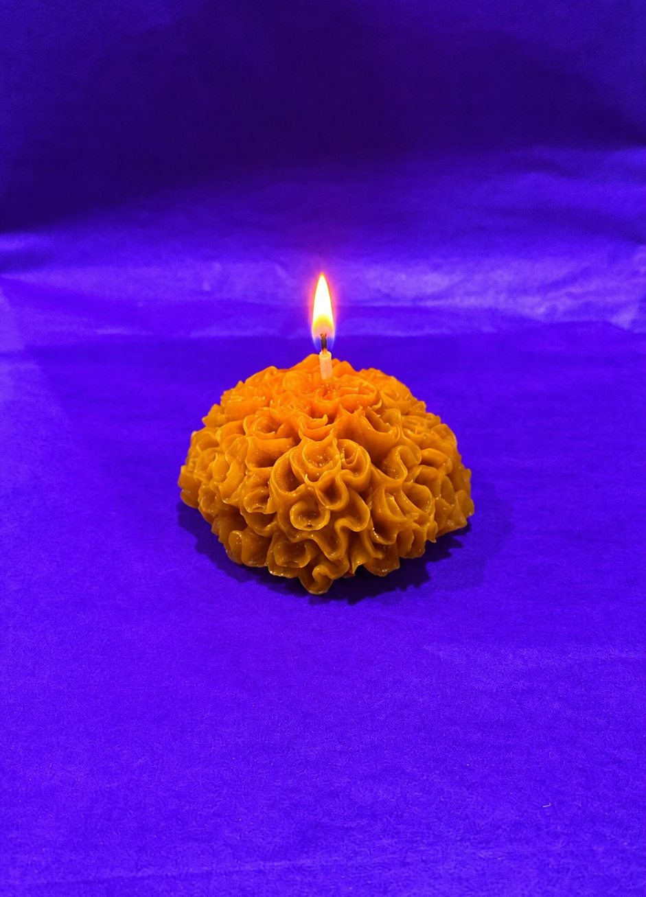 Velas de Cepmpasuchil