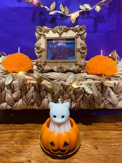 Velas para mascotas